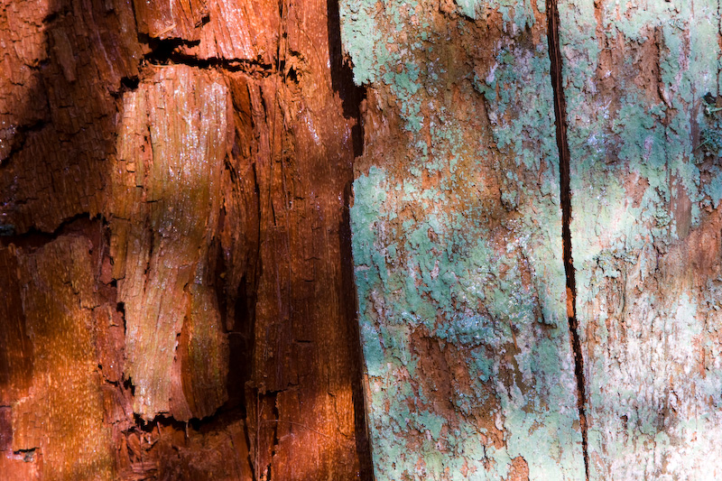 Cedar Bark Detail